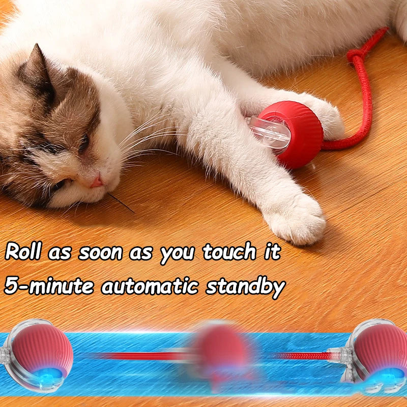 Interactive Toy for Cats and Dogs: Automatic Rolling Ball with Fake Tail, Rechargeable, Imitating a Mouse.