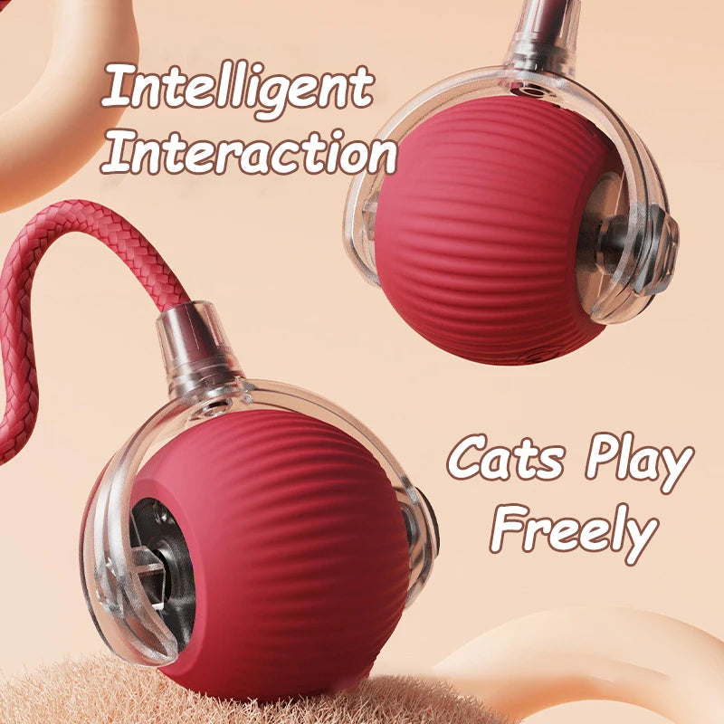 Interactive Toy for Cats and Dogs: Automatic Rolling Ball with Fake Tail, Rechargeable, Imitating a Mouse.