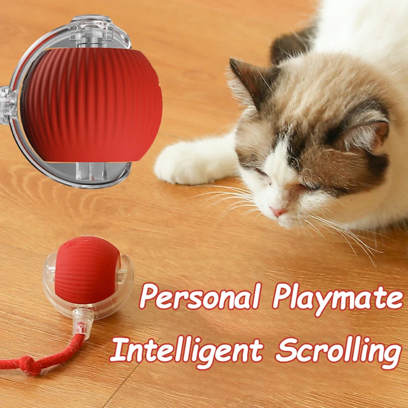 Interactive Toy for Cats and Dogs: Automatic Rolling Ball with Fake Tail, Rechargeable, Imitating a Mouse.